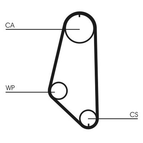 Continental ctam zahnriemen - ctam,